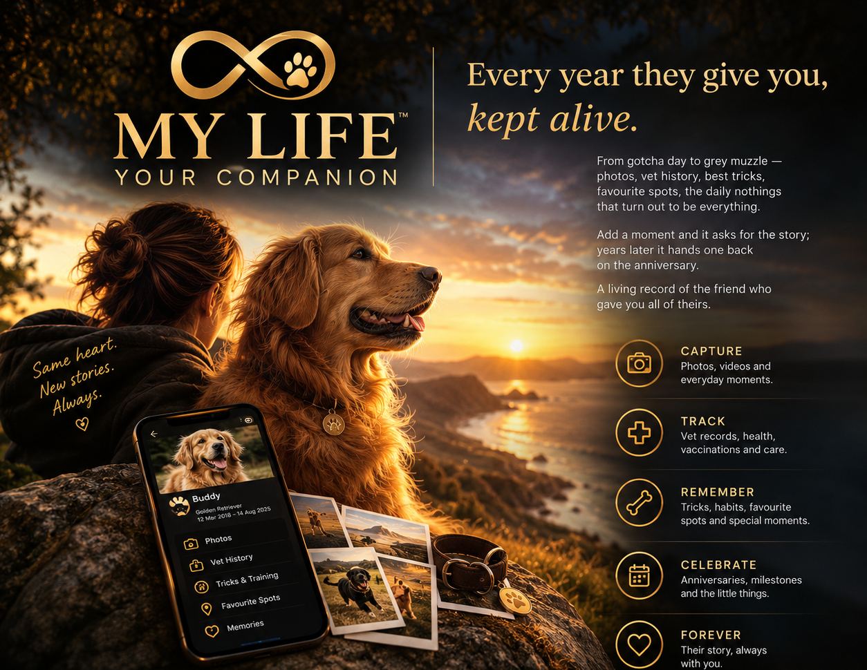My Life Your Companion