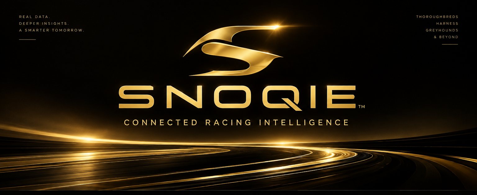 Snoqie — Connected Racing Intelligence